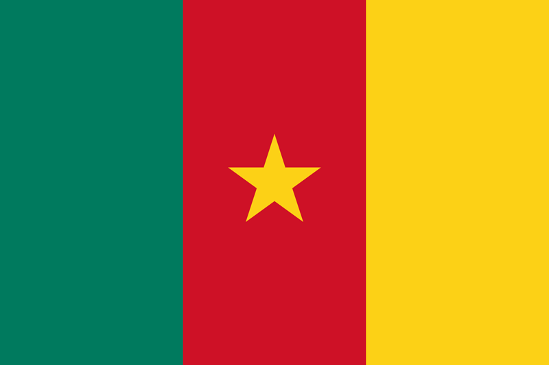 Cameroon flag