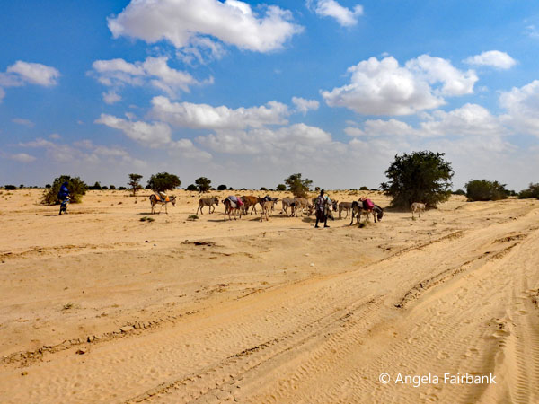 trail of laden donkeys 1