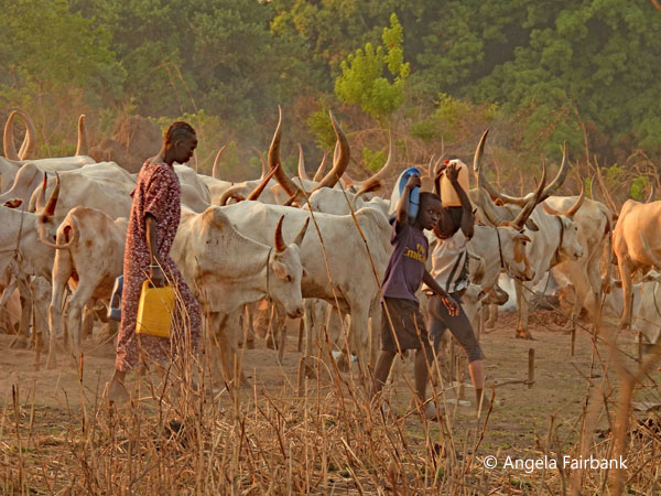 mundari camp scene 109