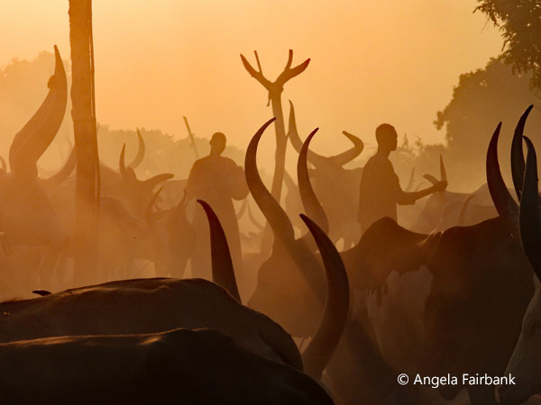 mundari camp scene 22