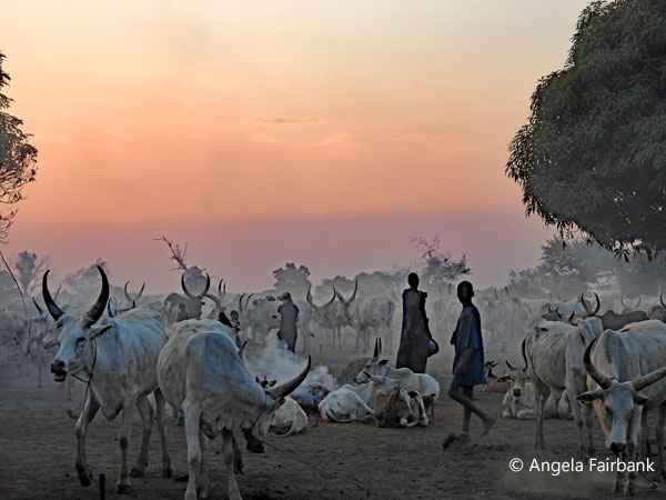 mundari camp scene 43