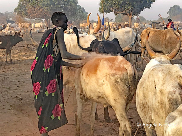 mundari camp scene 62