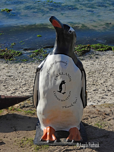 gentoo penguin status outside conservation shop