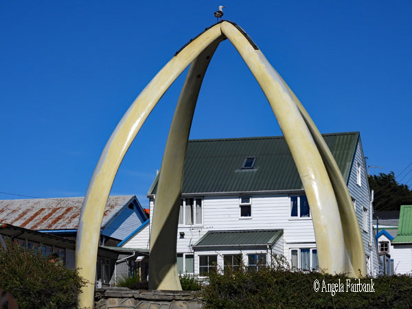 whale bone arch by anglican cathedral
