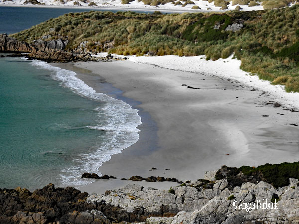 gypsy cove beach