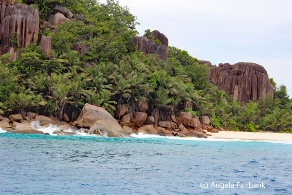 beach at Big Sister Island