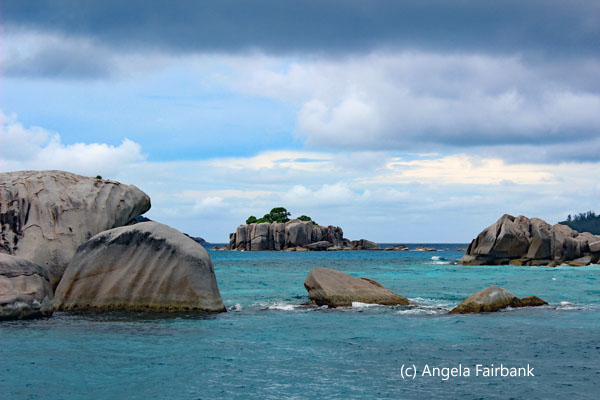 coco island 2