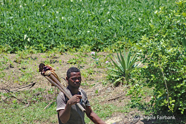 man in field
