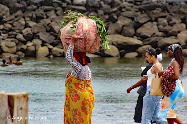 ferry passengers 2