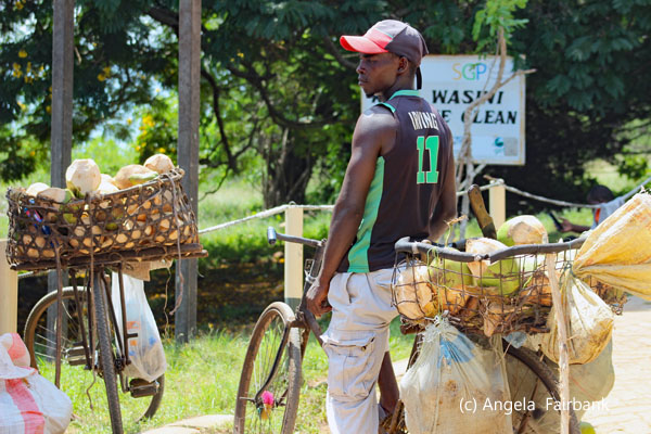 bicycles with coconuts