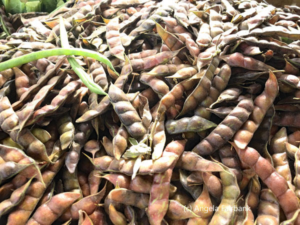 tamarind seeds