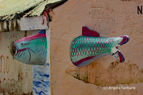 fish in wall