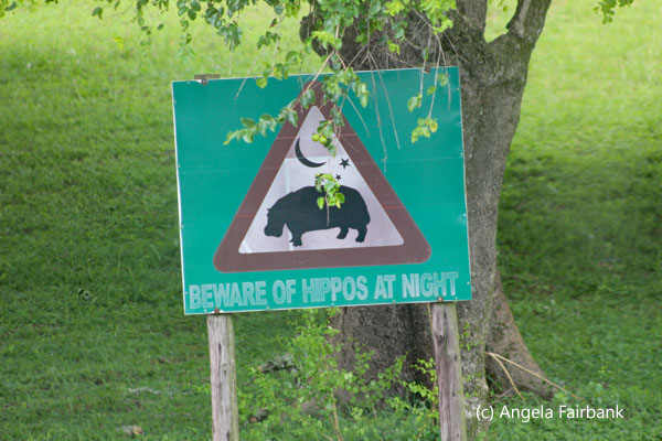 beware of hippos sign