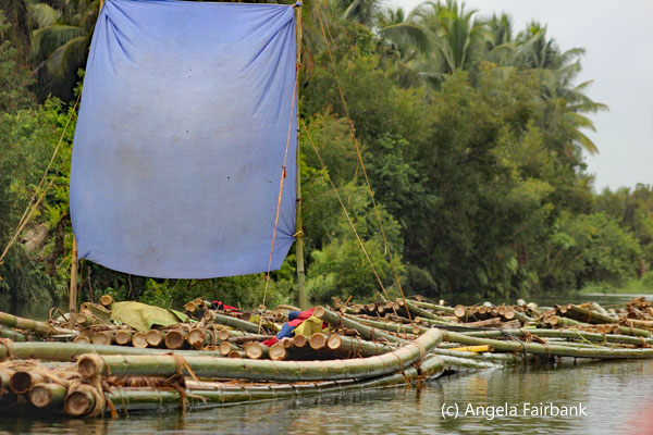 raft of bamboo