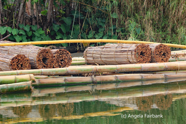 bamboo transported on raft