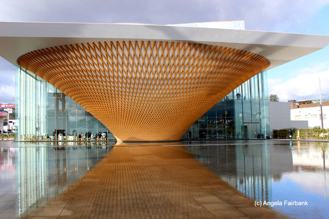 mt fuji museum and reflecting pool