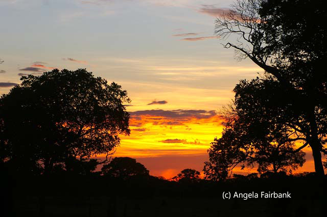 sunset 2