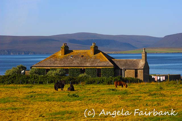 Orkneys, copyright Angela Fairbank