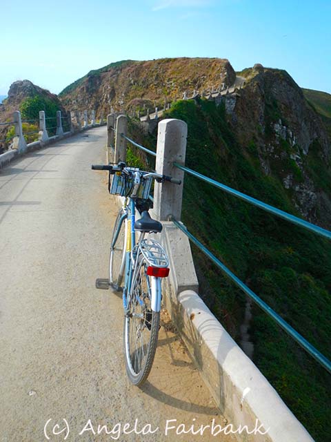 Sark, copyright Angela Fairbank