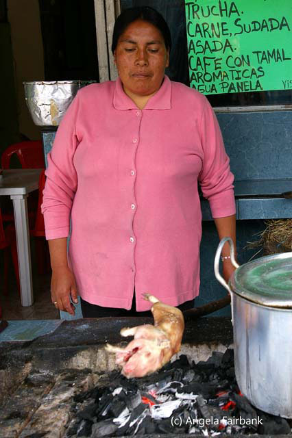 guinea pig and vendor