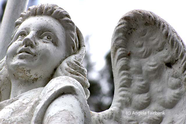 close up of angel