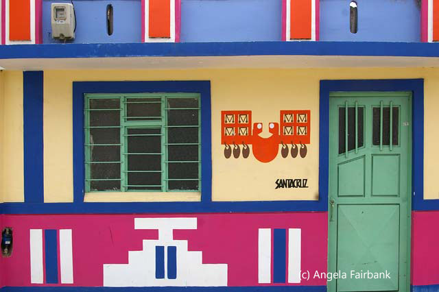 guinea pig shop 3