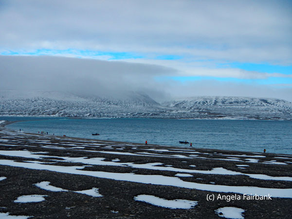 beechey island beach 1