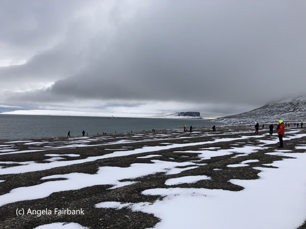 beechey island beach 3