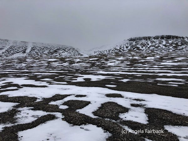 beechey island beach 4