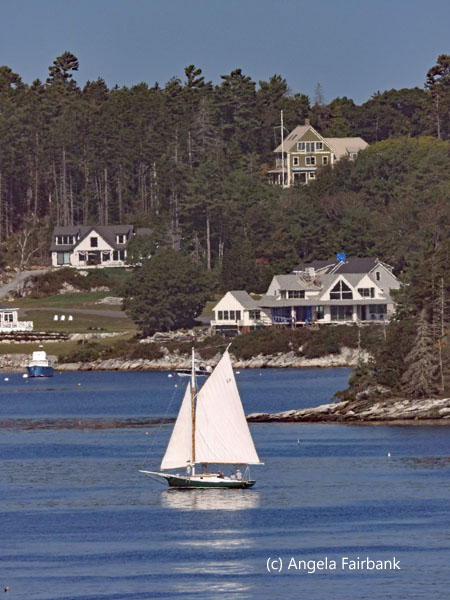 sailboat and houses