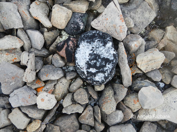 permafrost on black rock