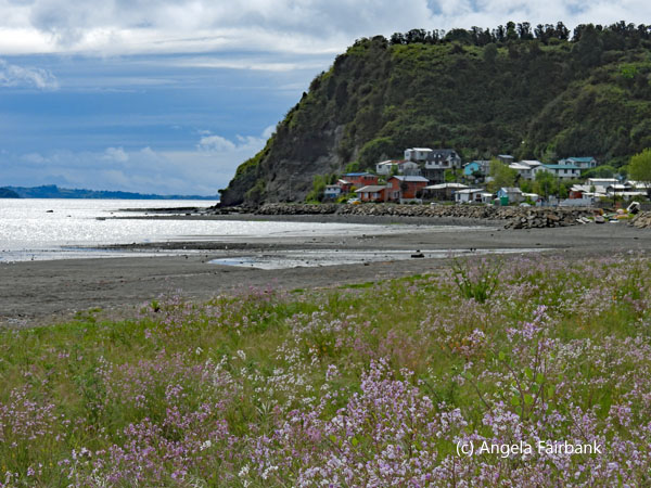 beach at achao 1