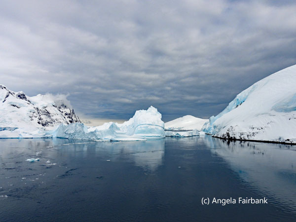 icebergs in lemaire channel 2