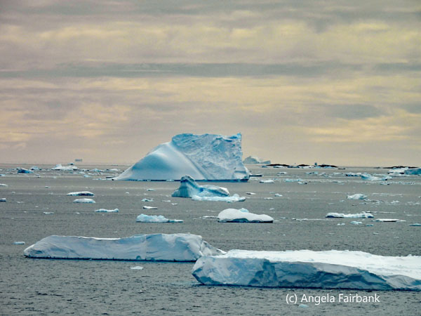 icebergs near charcot 2