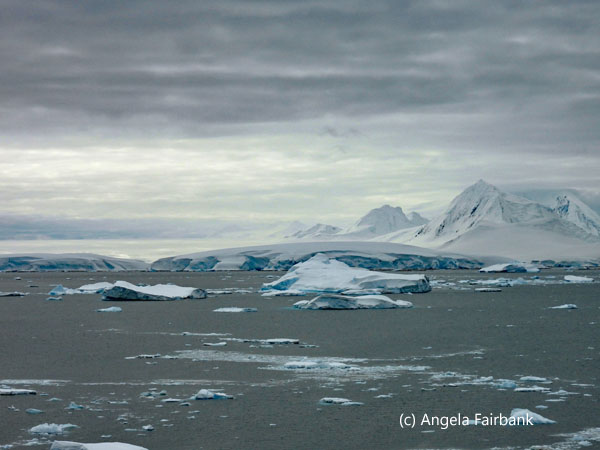 icebergs near charcot 3