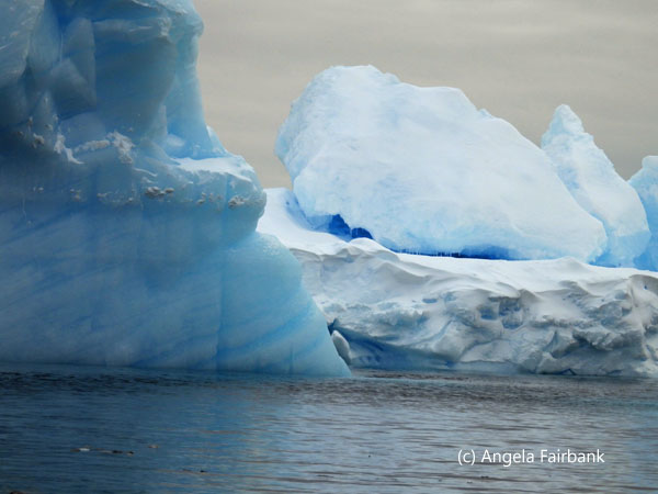 blue icebergs