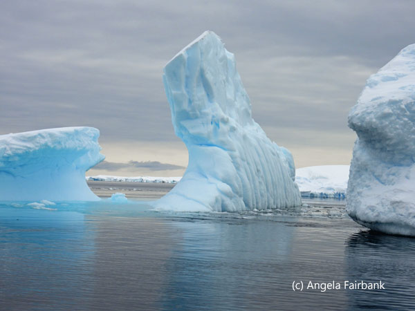 blue icebergs