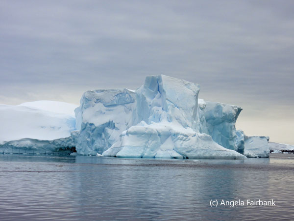 white and blue icebergs