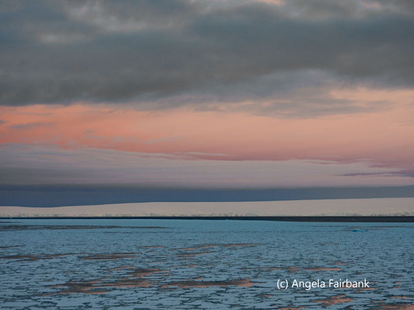 pink skies and icefloe