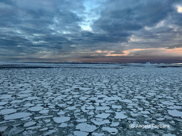 ice in water at sunset e