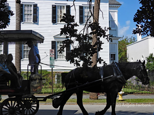 horse and carriage