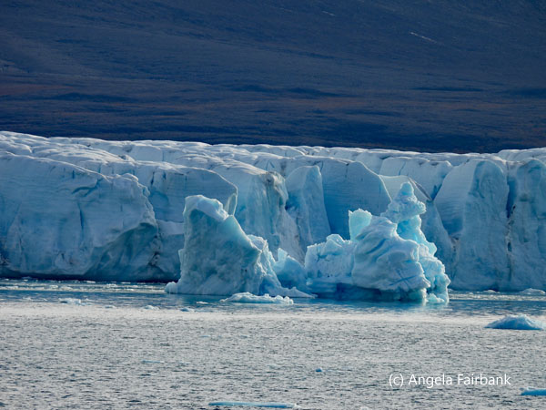 iceberg in front of glacier