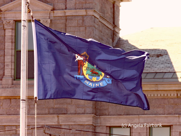 Maine flag