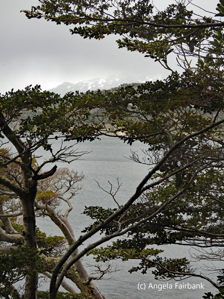 coastal walk view 4