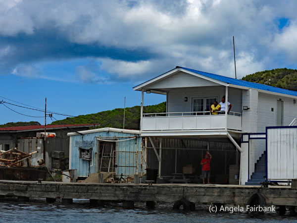 houses with waving people