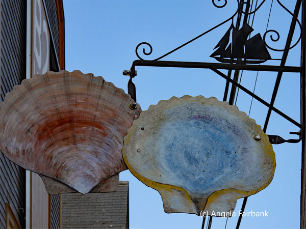 seashell street decoration