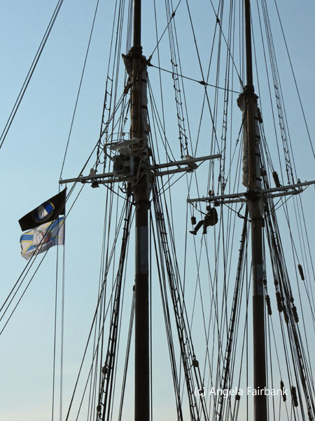 bluenose ii rigging