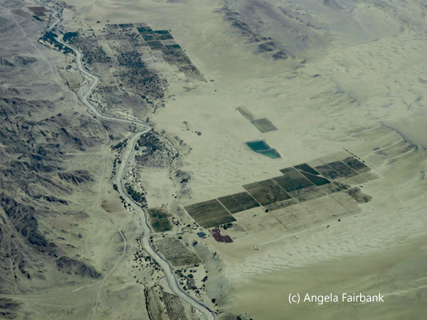 farming in the desert