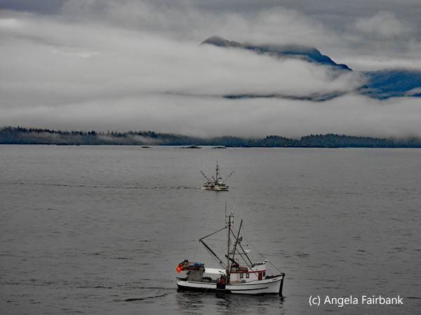 fishing boats