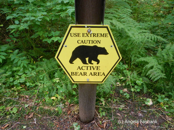 beware of bears sign